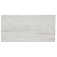 Lofthouse Wood Frost Ceramic Tile Pack of 6 (L)598mm (W)298mm