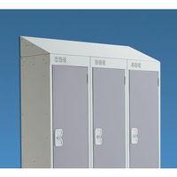 LOCKER SLOPING TOP ONE DOOR 1720X450 - L.GREY DOOR