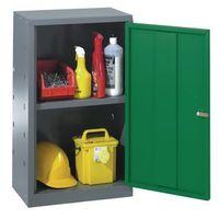 LOCKER TOOL SINGLE DOOR 684 x 450 x 300mm-GREY & GREEN