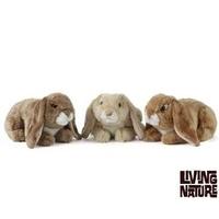 Lop Eared Rabbit 3 Assorted