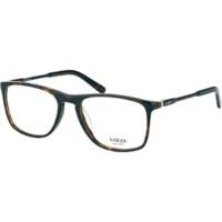 Lozza Greene VL4017 722X (dark havana)