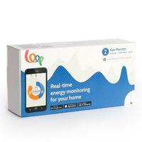 Loop Gas Energy Monitor