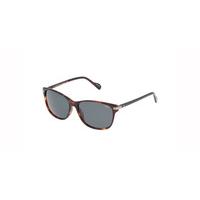 Lozza Sunglasses SL 4037M 04AP