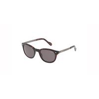 Lozza Sunglasses SL 4034M 722P