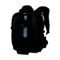 Lowepro Vertex 100 AW