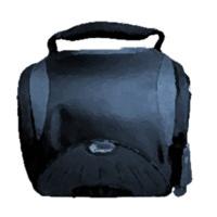 Lowepro Apex 110 AW