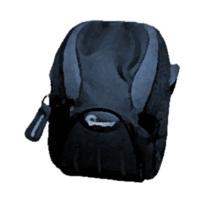 lowepro apex 20 aw