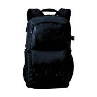 lowepro fastpack bp 250 aw ii