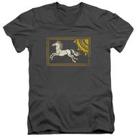 Lord Of The Rings - Rohan Banner V-Neck