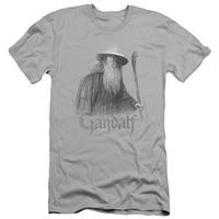 Lord Of The Rings - Gandalf The Grey (slim fit)