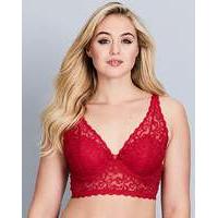 lottie lace midi bralette red