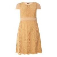 Lovedrobe Camel Lace Skater Dress, Camel