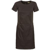 lola redac delson womens dress in black