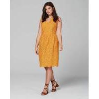 lovedrobe fit flare broderie dress