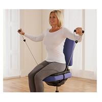 Low Impact Chair Exerciser