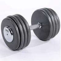 lonsdale cast dumbells