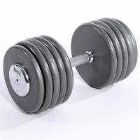 Lonsdale Cast Dumbells