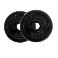 Lonsdale 2.5kg Weight Plate Set