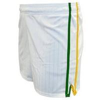 LS Pairc Gaelic Shorts - White/Green/Gold - Youth