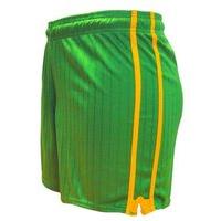 ls pairc gaelic shorts greengold youth