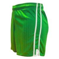 ls pairc gaelic shorts greenwhite youth