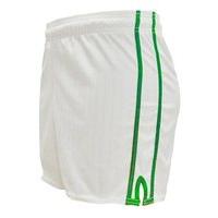 LS Pairc Gaelic Shorts - White/Green - Youth