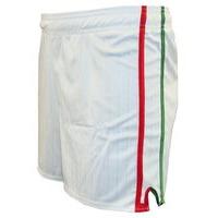 LS Pairc Gaelic Shorts - White/Red/Green - Youth