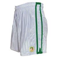 LS Sarsfields Shorts (Youth) - White/Green