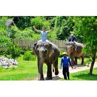 Luang Prabang Elephant Adventure Day Tour
