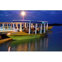 Luminous Lagoon Tour from Montego Bay and Grand Palladium