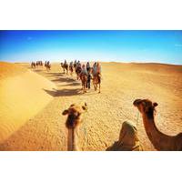 Luxury Desert Experience: Camel Safari with Dinner and Emirati Activities with Transport from Dubai