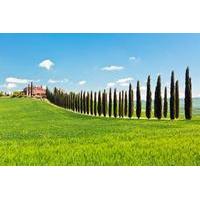 Luxury Tuscan Villa Experience Including Lunch and Wine Tasting
