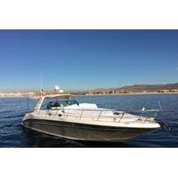Luxury Private Yacht Cruise in Los Cabos