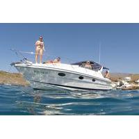 Luxury 3 hour Whale and Dolphin Watching Private Motor Boat Charter