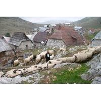 Lukomir Highland Village Tour and Hike from Sarajevo