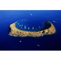 Luxury Molokini One Stop Snorkel Sail