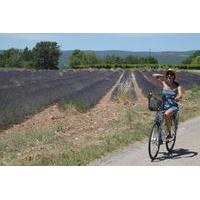 Luberon Electric Bike Rental from Bonnieux