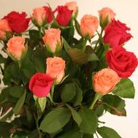 Luxury Red & Orange Roses