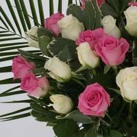 Luxury Pink/White Roses