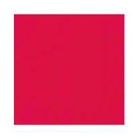 Luncheon 2 Ply Napkins x 20