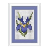 luca s counted cross stitch kit iris