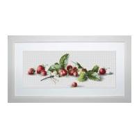 luca s counted cross stitch kit strawberries
