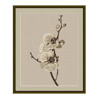 Luca-S Counted Cross Stitch Kit Orchid II