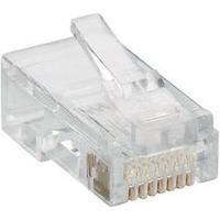 lumberg p 129 modular plug 8p8c rj45 plug straight transparent