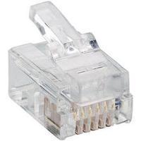 lumberg p 128 modular plug 6p6c rj12 plug straight transparent