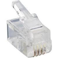 Lumberg P 126 Modular Plug 4p4c RJ10 Plug, straight Transparent