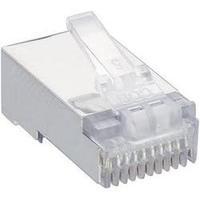 Lumberg P 303 S modular Plug 10p10c RJ50 Plug, straight Transparent