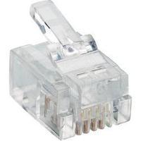 Lumberg P 127 Modular Plug 6p4c RJ11 Plug, straight Transparent