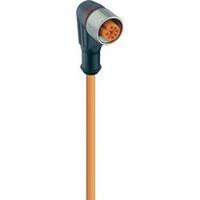 Lumberg Automation 11436 RKWT 4-07/2 M Actuator-Sensor-Connection Line M2-Plug-in BUSH STRAIGHT Orange