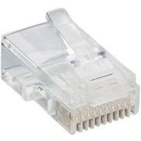 Lumberg P 303 Modular Plug 10p10c RJ50 Plug, straight Transparent